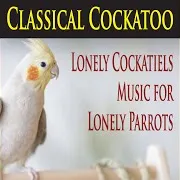 March Of The Parrots